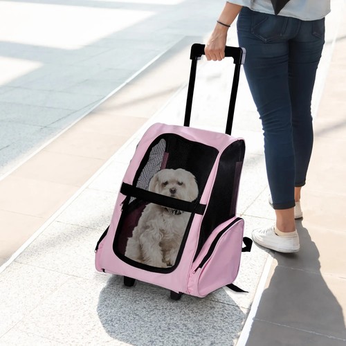 Trasportino cani gatti - ,