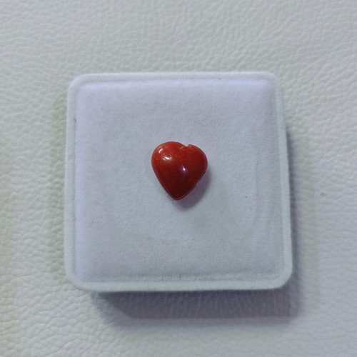 Cabochon corallo rosso