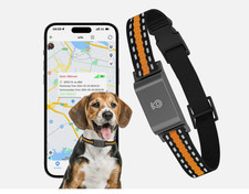 Collare GPS Cane Gatto