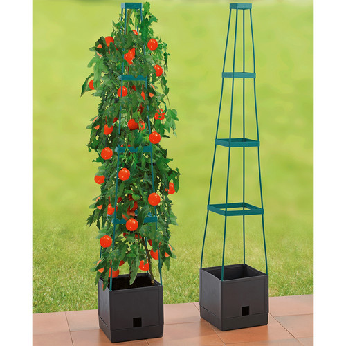 Maximex torretta per piante - maximex,