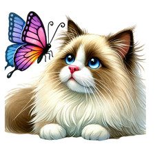 Adesivo murale adesivo