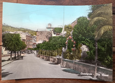 CASTELFORTE 1954 BELLA