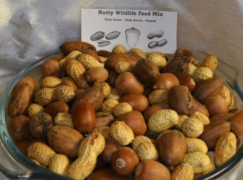 Libbre nutty wildlife - 2,