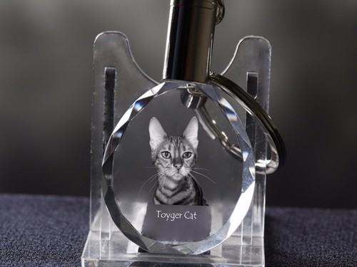 Toyger gatto cristallo - gatto,
