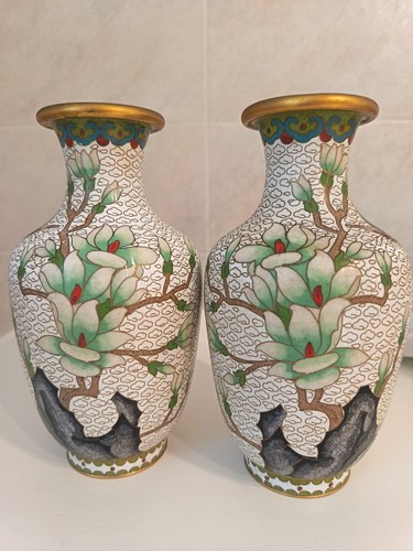 Coppia vasi cloisonnè - di, in