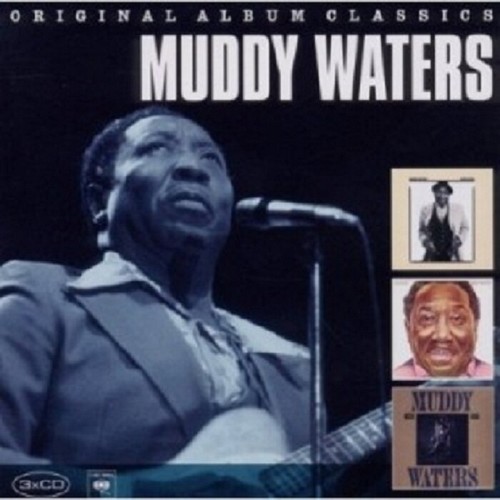 Muddy waters original album - waters,