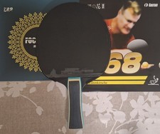 Professional Table Tennis
