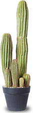 Cactus Artificiale 24" -