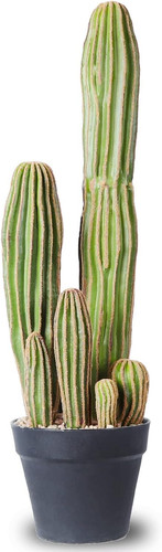 Cactus artificiale - cactus,
