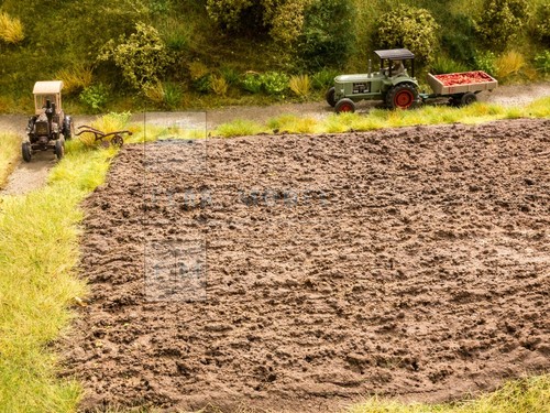Noch 07450 campo - 07450,