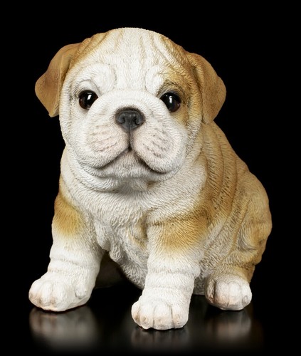 Statua decorativa bulldog - decorativa,