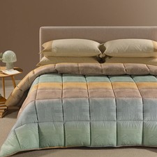 Trapunta Piumone Invernale