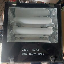 Faro,Proiettore Lampada Induzione, Da Esterno ad Induzione Magnetica Classe A+++