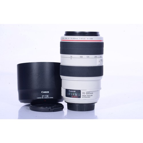 Canon 300mm 0 5 - f/4.0-5.6, l