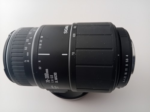 Sigma 300 5 - 70-300, f/4-5.6
