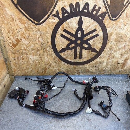 Cablaggio ecu yamaha xsr - ed,