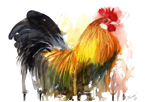 Dipinto pollo gallo - dipinto,