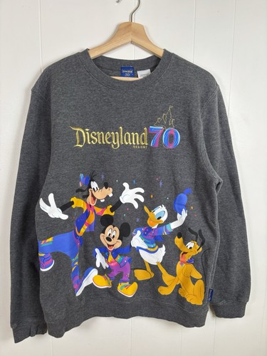 Felpa disneyland - felpa,