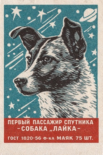 Poster laika il cane - il,