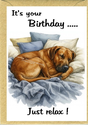 Biglietto compleanno cane - biglietto,