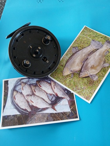 Mulinello da pesca young - w.,