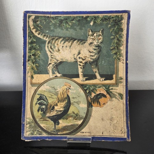 Cartone litografato gatto - , e