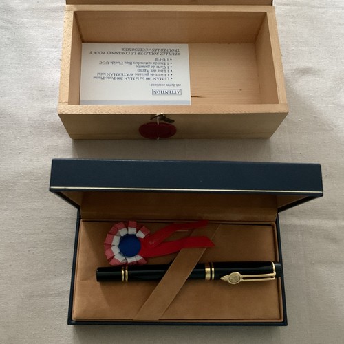 Penna stilografica waterman - penna,