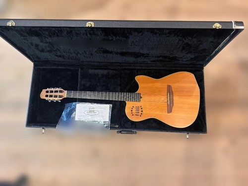 Godin multiac duetto acciaio - duetto,