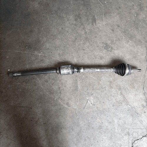 Semialbero ant compl dx - semialbero, compl.