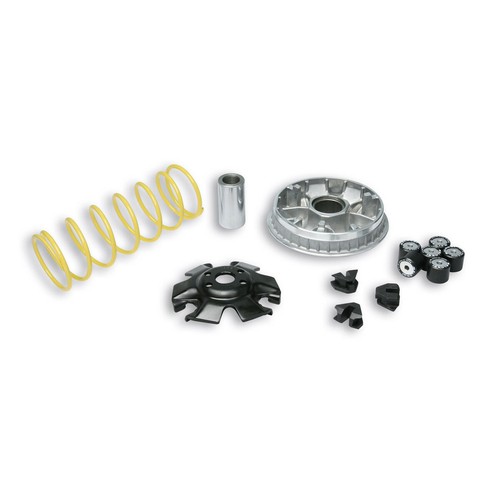 Variatore malossi multivar - variatore,