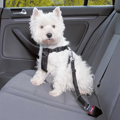 Trixie cane auto - più, dura
