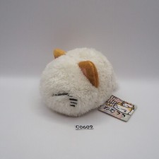 Nemuneko C0609 Gatto