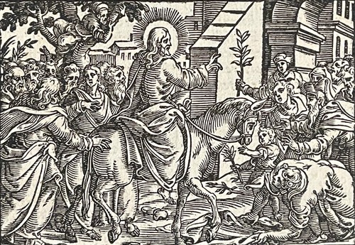 Domenica delle palme - palme, ingresso
