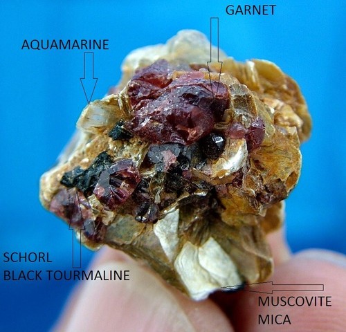 Fiorito muscovite hosting - fiorito,