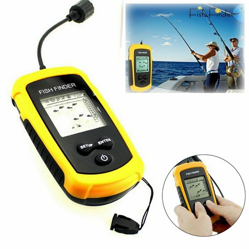 Lcd lake fish - lake,