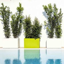 FIORIERA VASO RESINA ARREDO