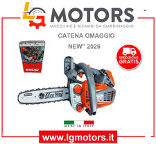 MOTOSEGA DA POTATURA