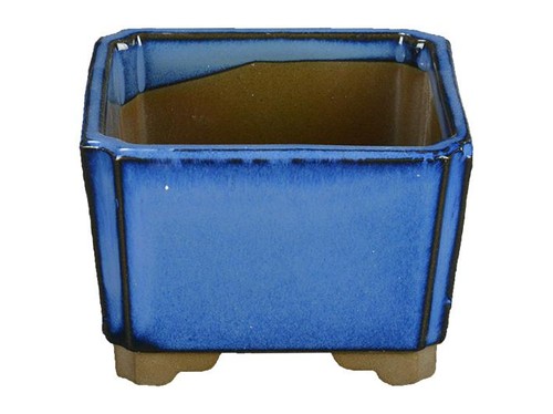 Vaso per bonsai - , giapponese
