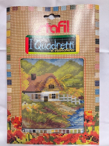 Kit mezzo punto canovaccio - punto,
