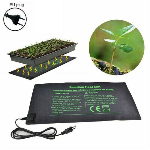 Pet rettile terrario tappetino