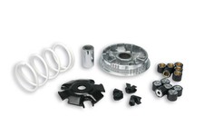 MALOSSI Variador Multivar