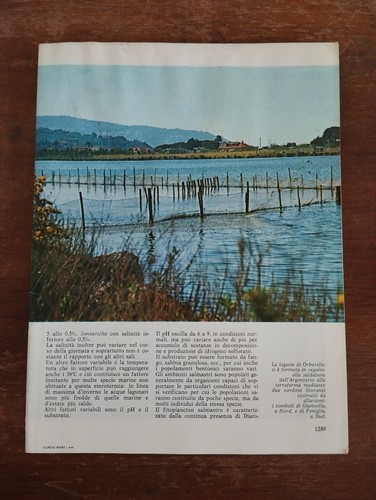 Fascicolo grande enciclopedia - "grande,