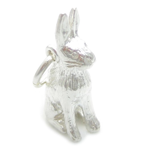 Charm lepre argento - charm,