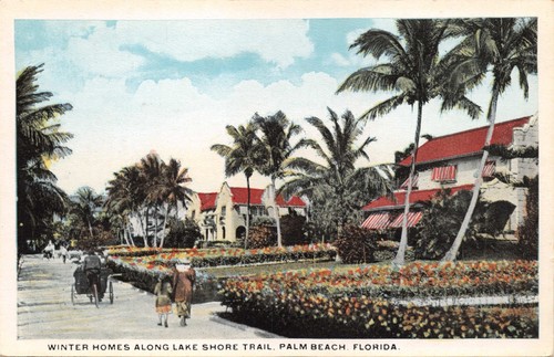 Palma spiaggia florida - spiaggia,
