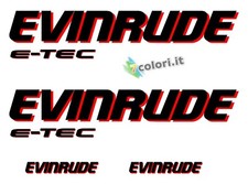 2 adesivi in vinile per motore