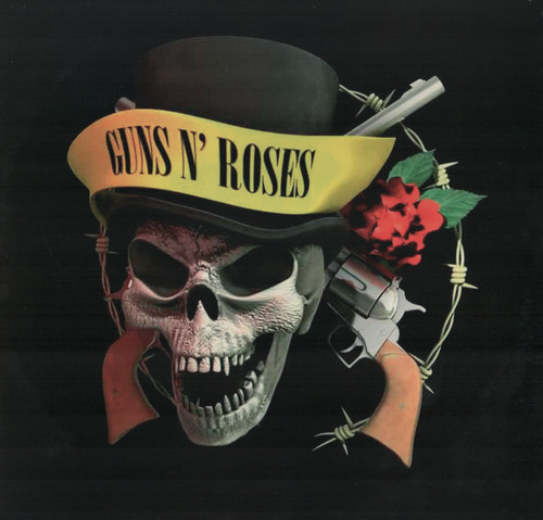 Guns roses skulls - guns,