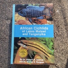 Book African Cichlids of