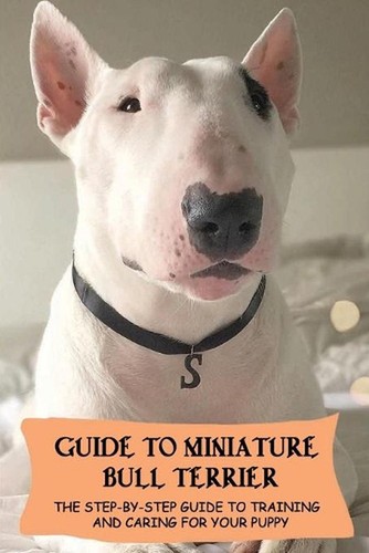 Guide miniature bull - miniature,