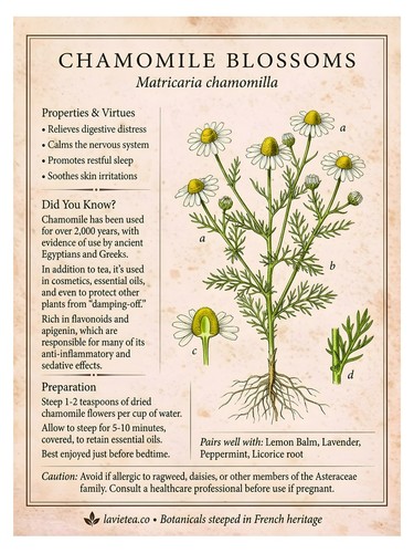 Poster botanico fiori - botanico, di
