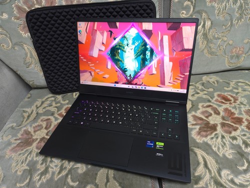 Omen 14900hx rtx 4080 - i9,